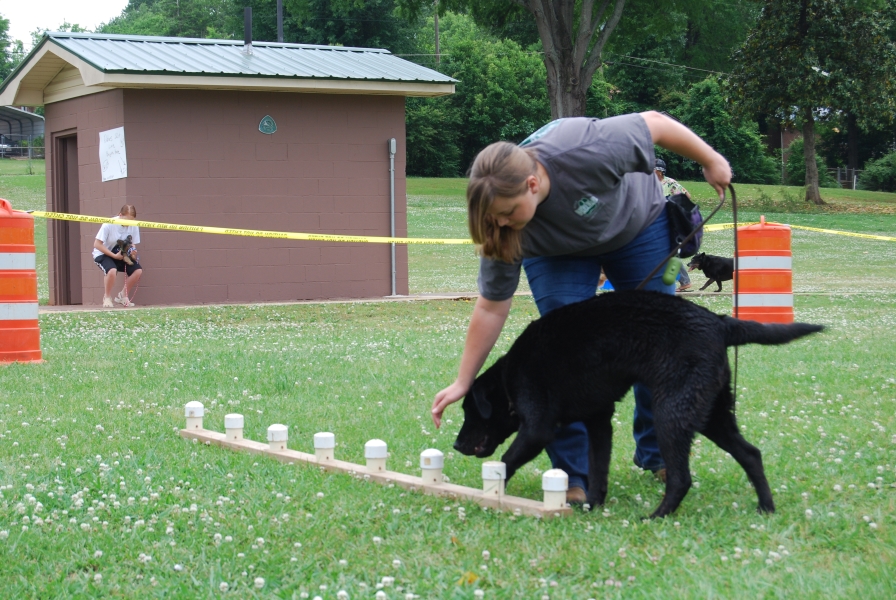 Picture of Dog and Handler